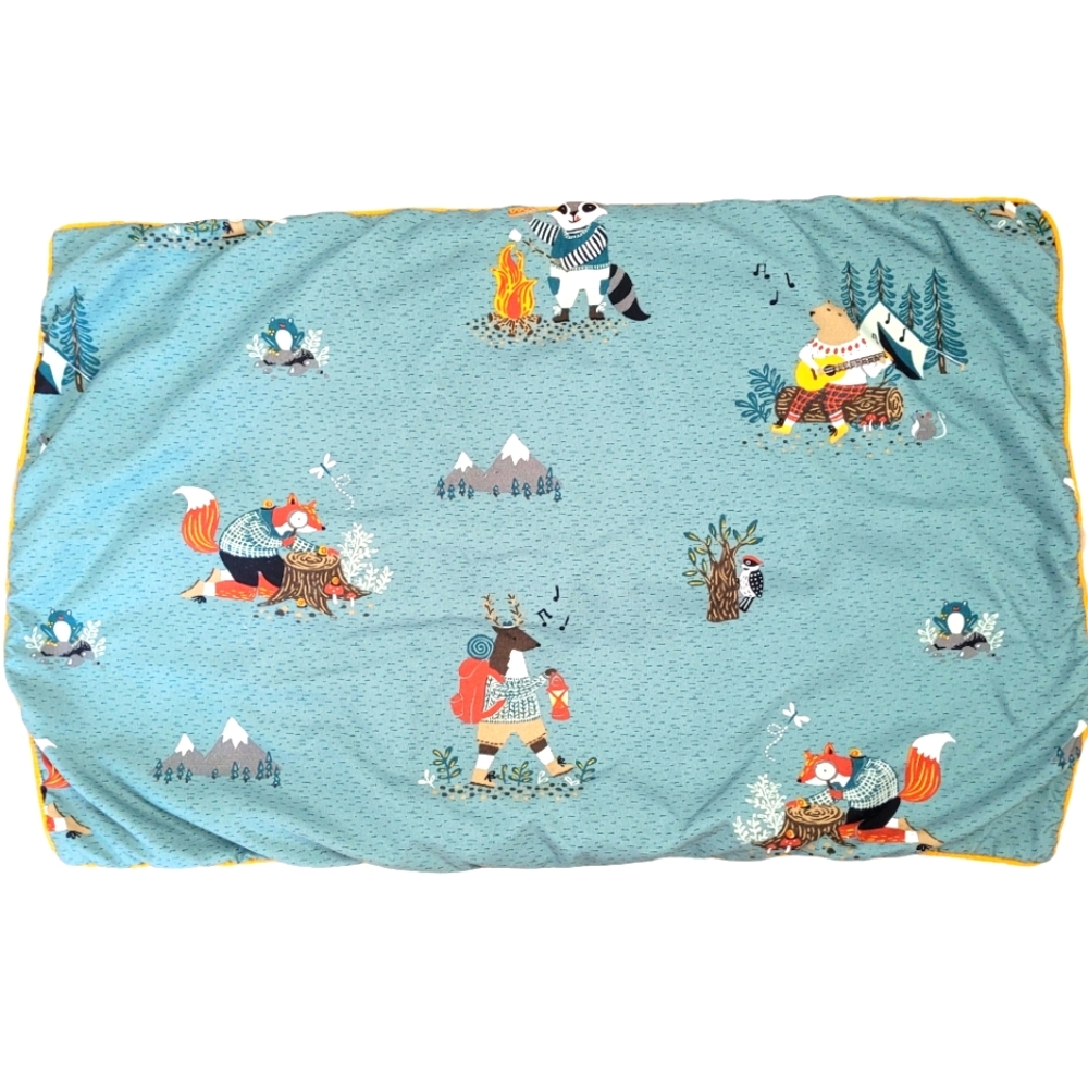 Set of 2 Simons Home teal pillow shams for kids